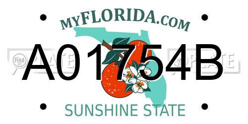 A01754B Florida License Plate
