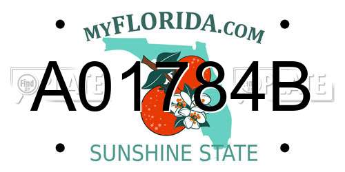 A01784B Florida License Plate