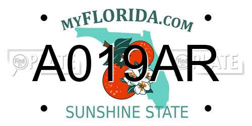 A019AR Florida License Plate