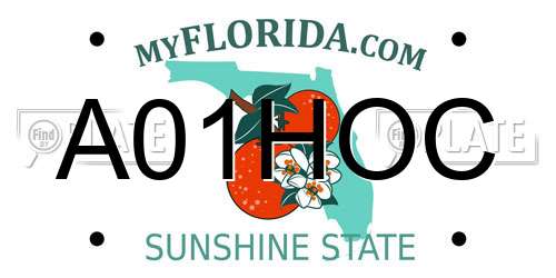 A01HOC Florida License Plate