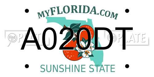 A020DT Florida License Plate