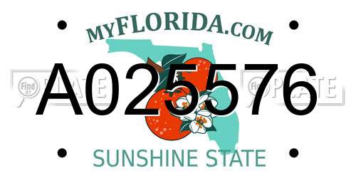 A025576 Florida License Plate