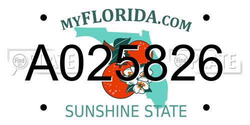 A025826 Florida License Plate