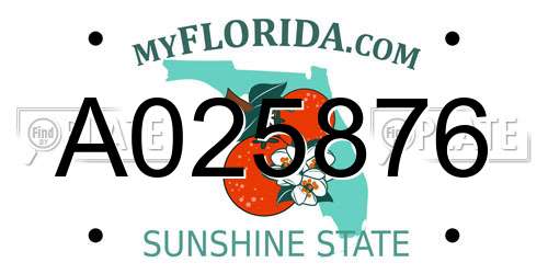A025876 Florida License Plate