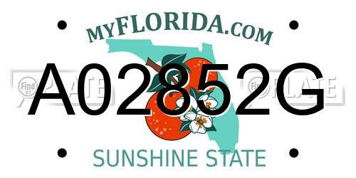 A02852G Florida License Plate