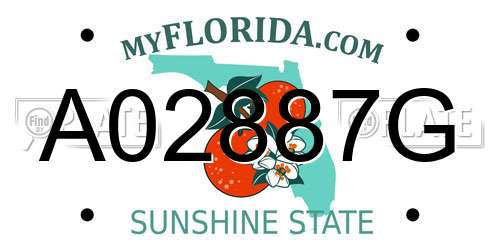 A02887G Florida License Plate