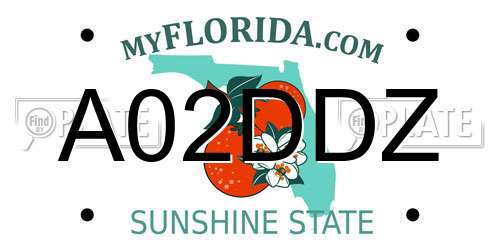A02DDZ Florida License Plate
