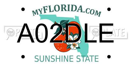 A02DLE Florida License Plate