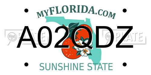 A02QDZ Florida License Plate