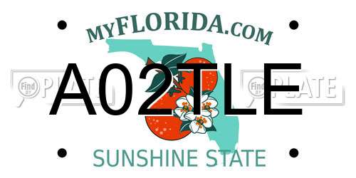 A02TLE Florida License Plate