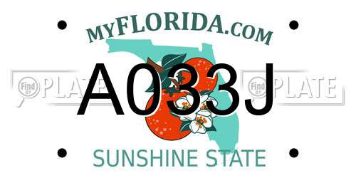 A033J Florida License Plate