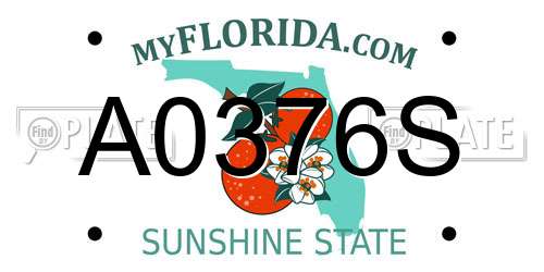 A0376S Florida License Plate