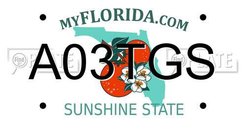 A03TGS Florida License Plate