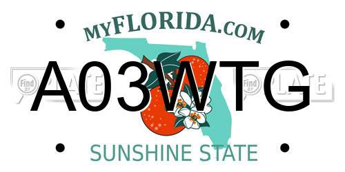 A03WTG Florida License Plate