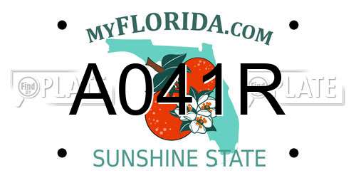 A041R Florida License Plate
