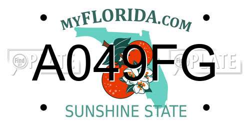 A049FG Florida License Plate