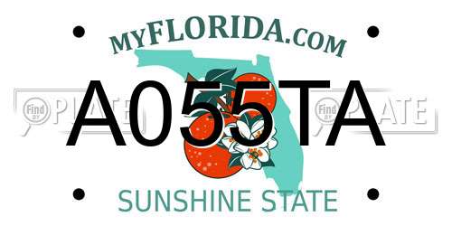 A055TA Florida License Plate