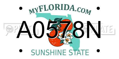 A0578N Florida License Plate