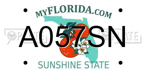 A057SN Florida License Plate