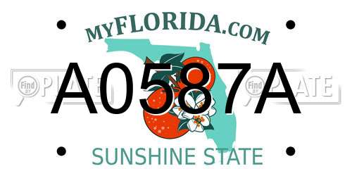 A0587A Florida License Plate