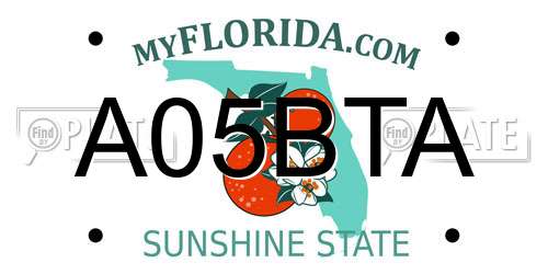 A05BTA Florida License Plate
