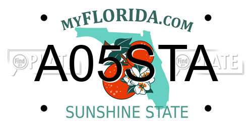 A05STA Florida License Plate