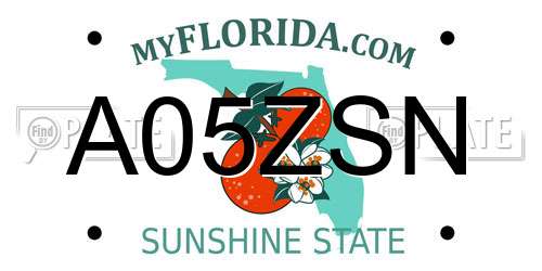 A05ZSN Florida License Plate