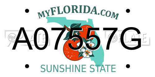 A07557G Florida License Plate