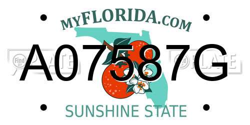 A07587G Florida License Plate