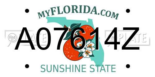 A07614Z Florida License Plate