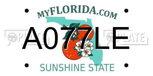 A077LE Florida License Plate