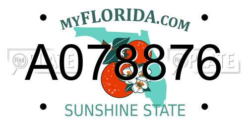 A078876 Florida License Plate