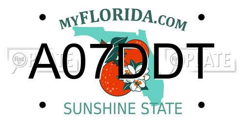 A07DDT Florida License Plate