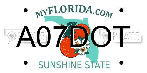 A07DOT Florida License Plate