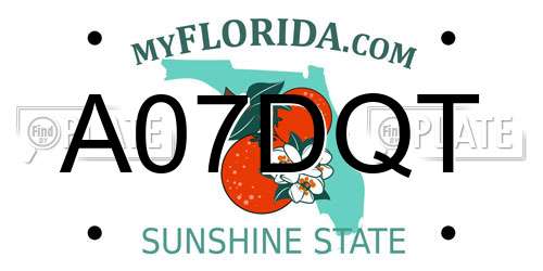 A07DQT Florida License Plate