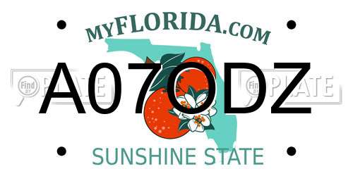 A07ODZ Florida License Plate