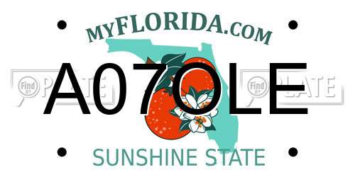 A07OLE Florida License Plate