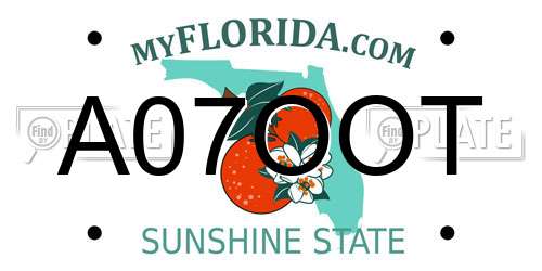A07OOT Florida License Plate