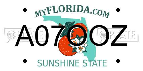 A07OOZ Florida License Plate