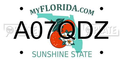 A07QDZ Florida License Plate