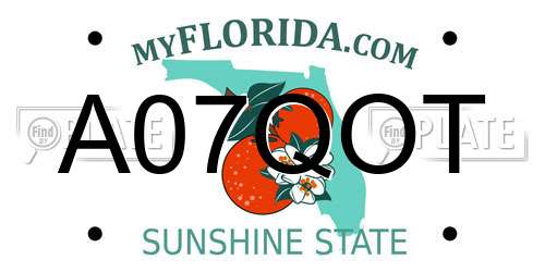 A07QOT Florida License Plate