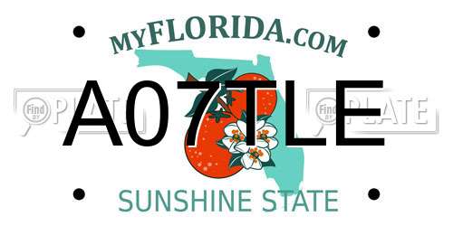A07TLE Florida License Plate