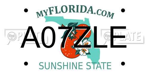 A07ZLE Florida License Plate
