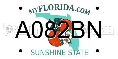 A082BN Florida License Plate
