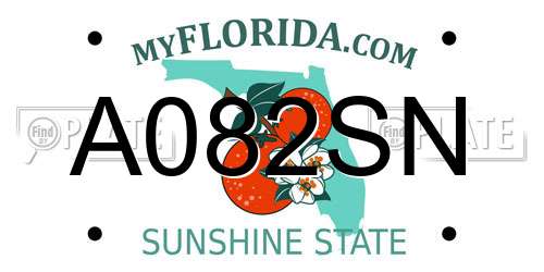 A082SN Florida License Plate