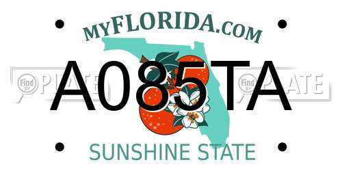 A085TA Florida License Plate