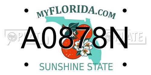 A0878N Florida License Plate