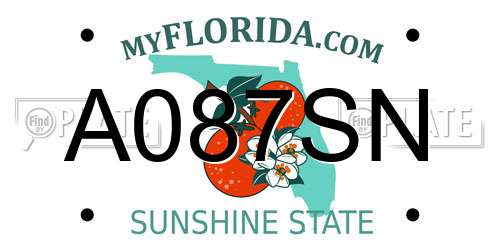 A087SN Florida License Plate
