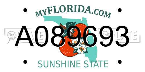 A089693 Florida License Plate