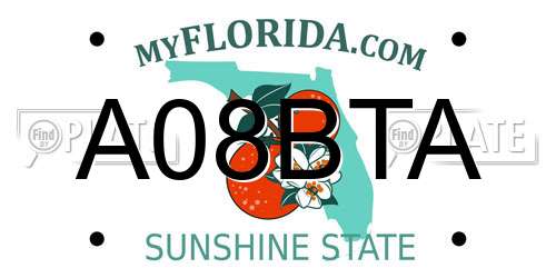 A08BTA Florida License Plate